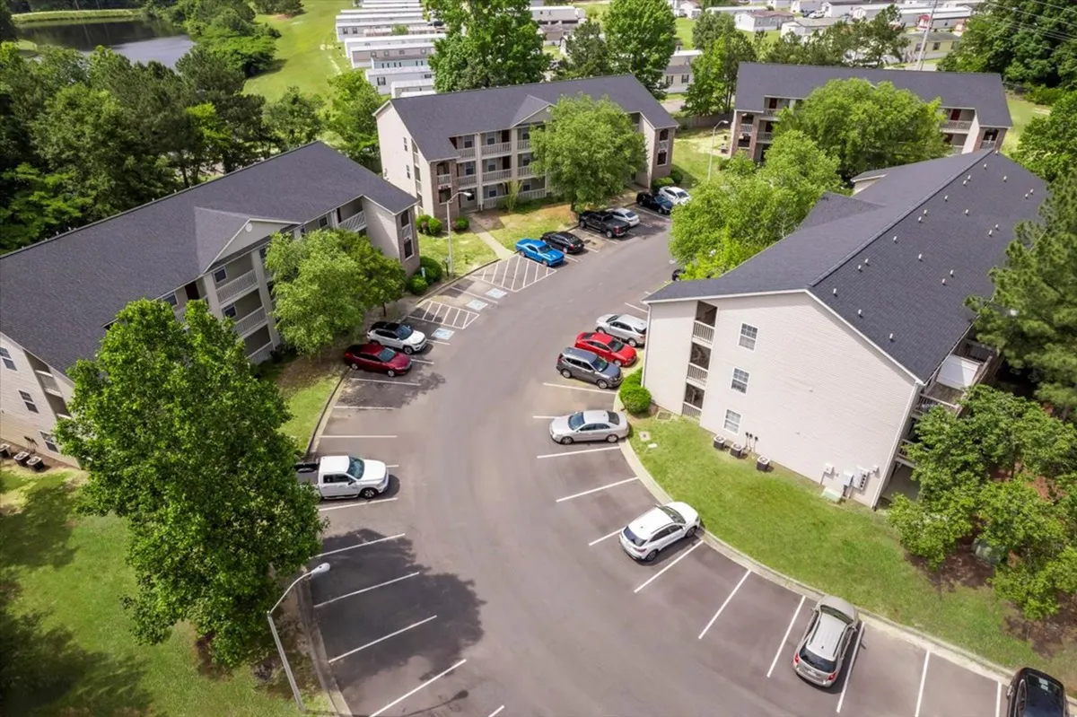 This exterior shot features vibrant green trees, a sunny parking lot, and the welcoming facade of the apartment buildings. The scene suggests an inviting community atmosphere and hints at outdoor activities and easy access to local destinations.